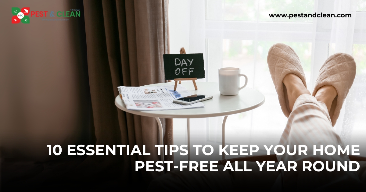 10 Essential Tips to Keep Your Home Pest-Free All Year Round