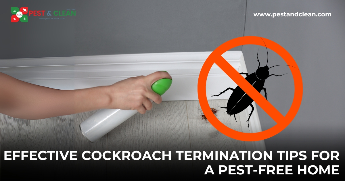 Effective Cockroach Termination Tips for a Pest-Free Home
