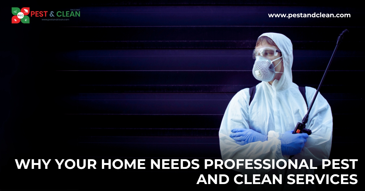 Why Your Home Needs Professional Pest and Clean Services